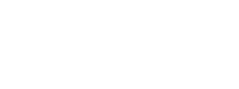 BALL WATCH
