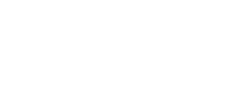 PARMIGIANI FLEURIER