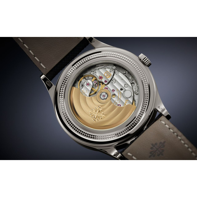 PATEK PHILIPPE レトログラード日付表示針付永久カレンダー 6159G-001
