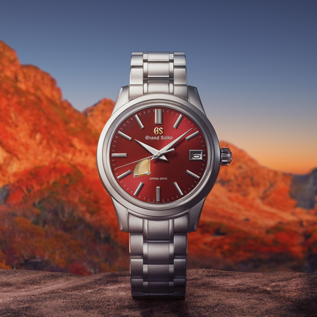GRAND SEIKO 【キャリバー9R 20周年記念限定モデル】SBGA499 SBGA499